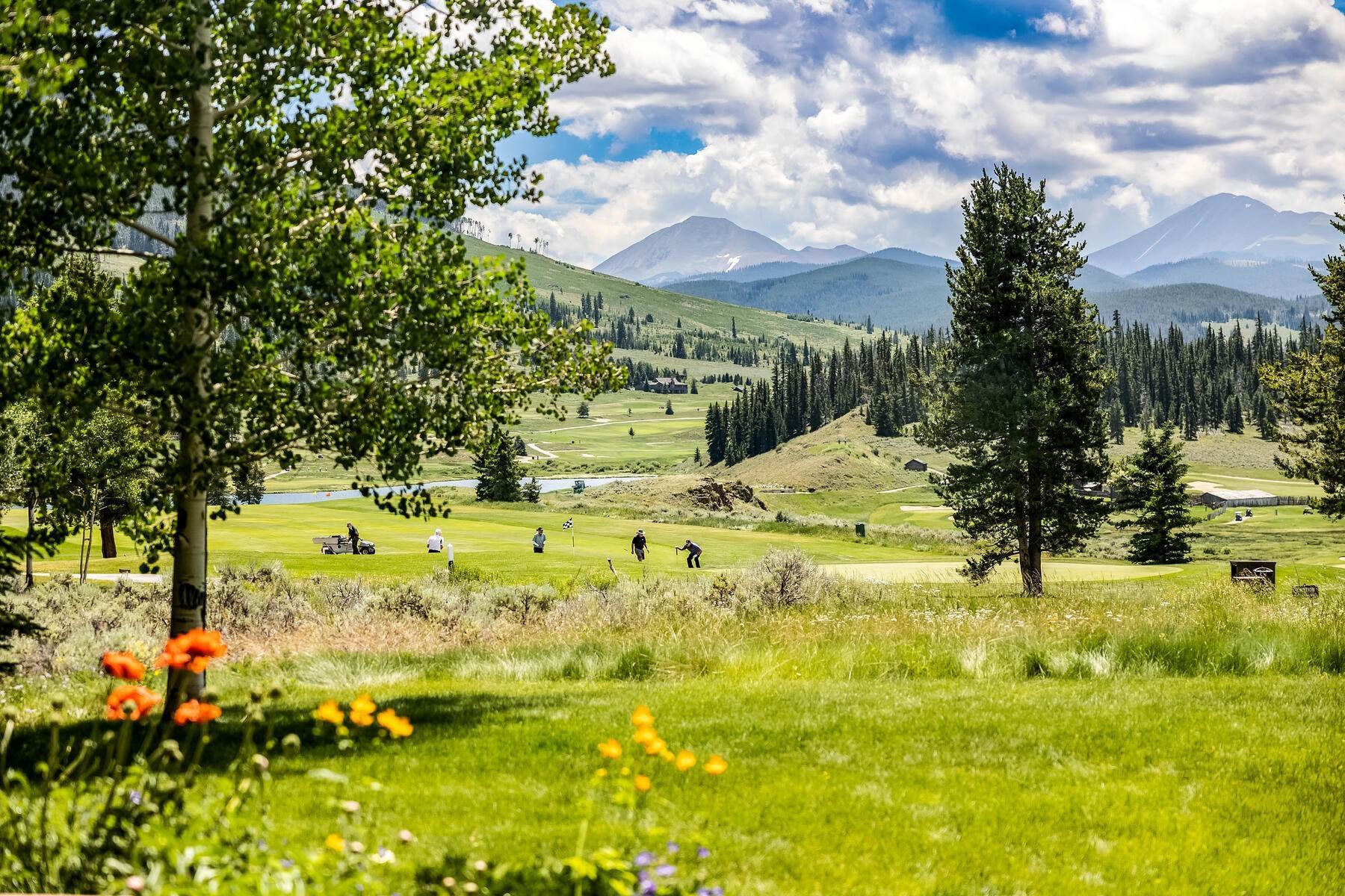 2. Single Family Homes for Active at Golf Course Legacy Property! 272 Penstemon Road Keystone, Colorado 80435 United States