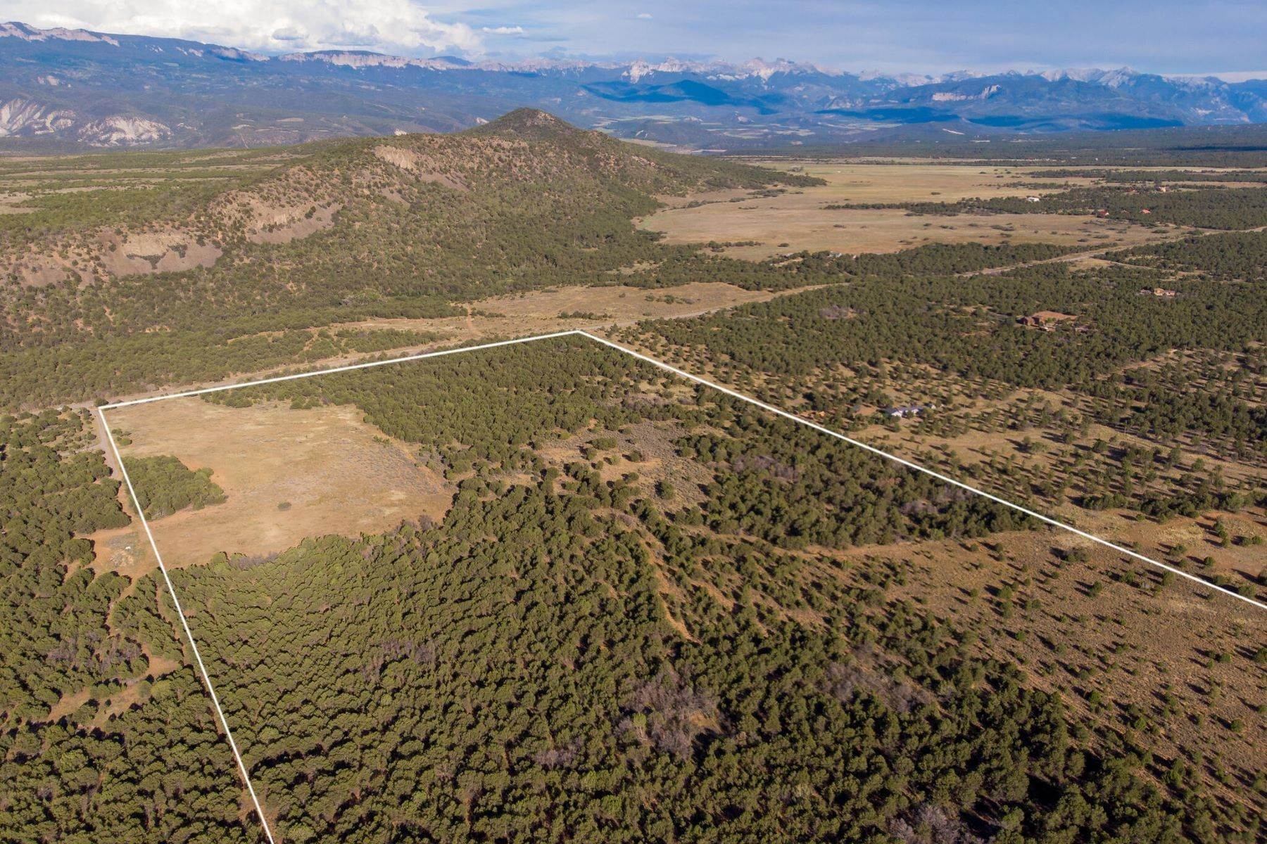 3. Land for Active at Tbd Co Rd 1, Montrose, CO, 81403 TBD County Rd 1 Montrose, Colorado 81403 United States
