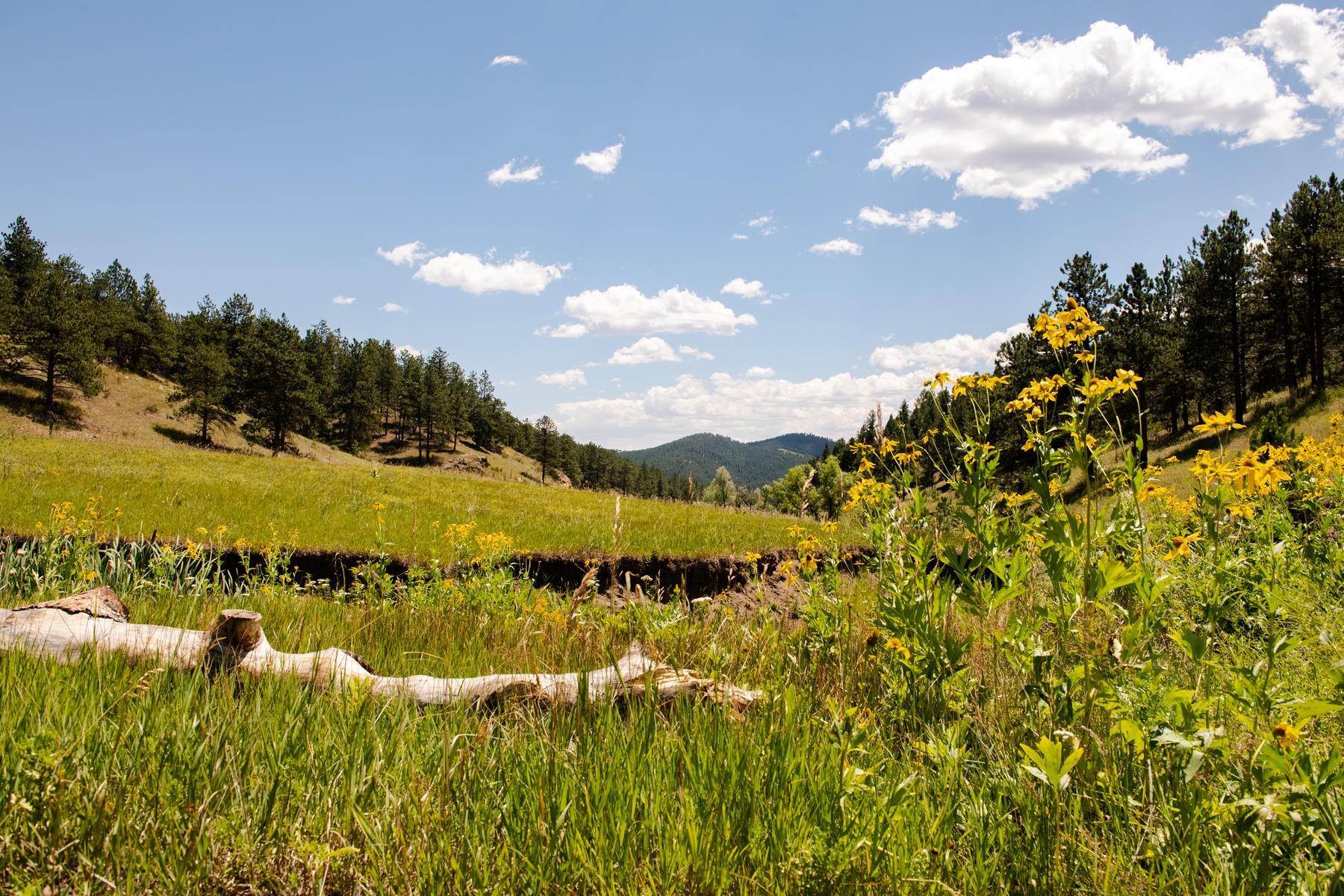 Land for Active at Lot 4 Legacy Ranch, Evergreen, Co, 80439 Lot 4 Legacy Ranch Evergreen, Colorado 80439 United States