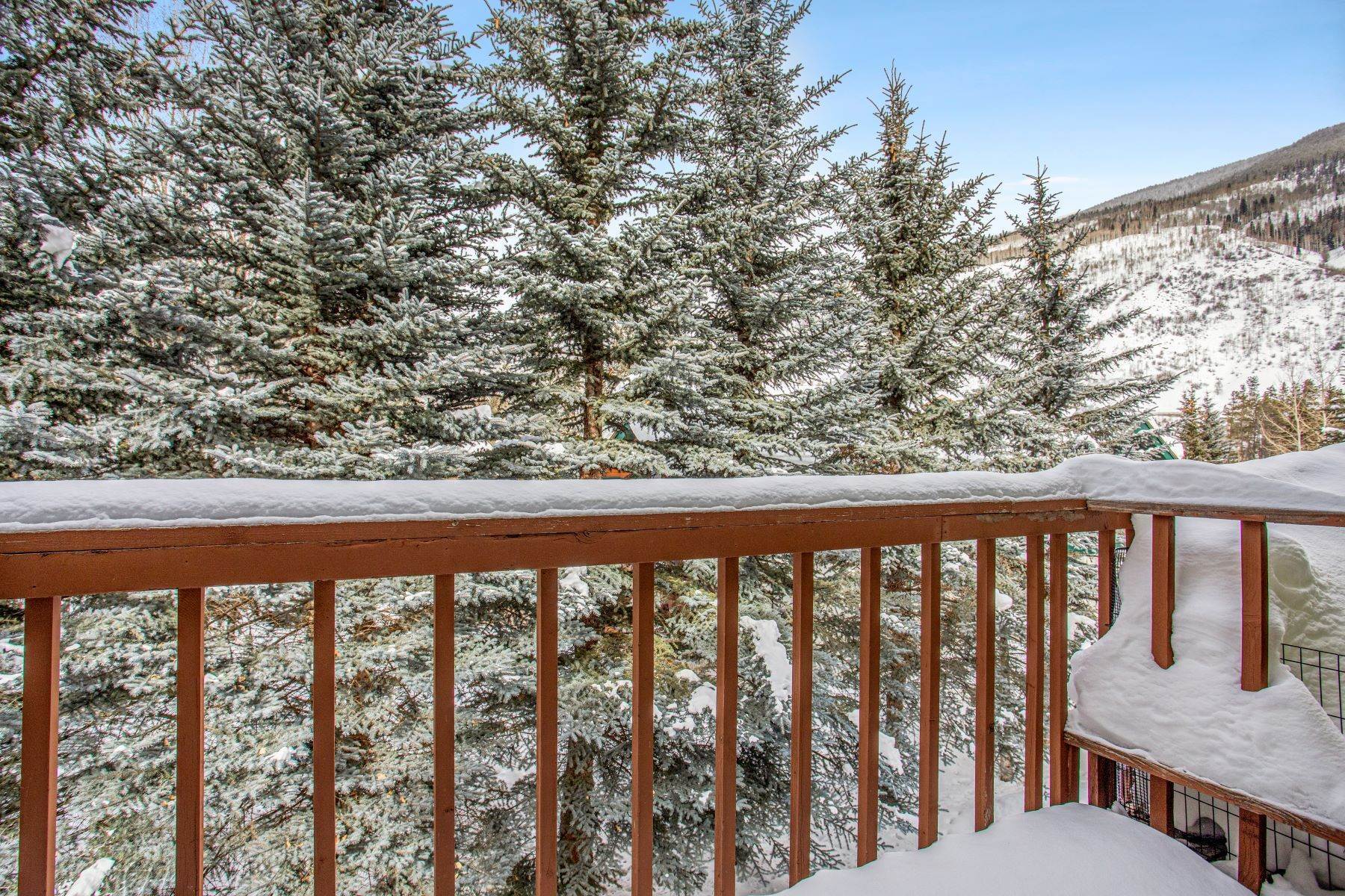 20. Duplex Homes for Active at Sunny East Vail Residence 5107 Black Gore Drive W Vail, Colorado 81657 United States
