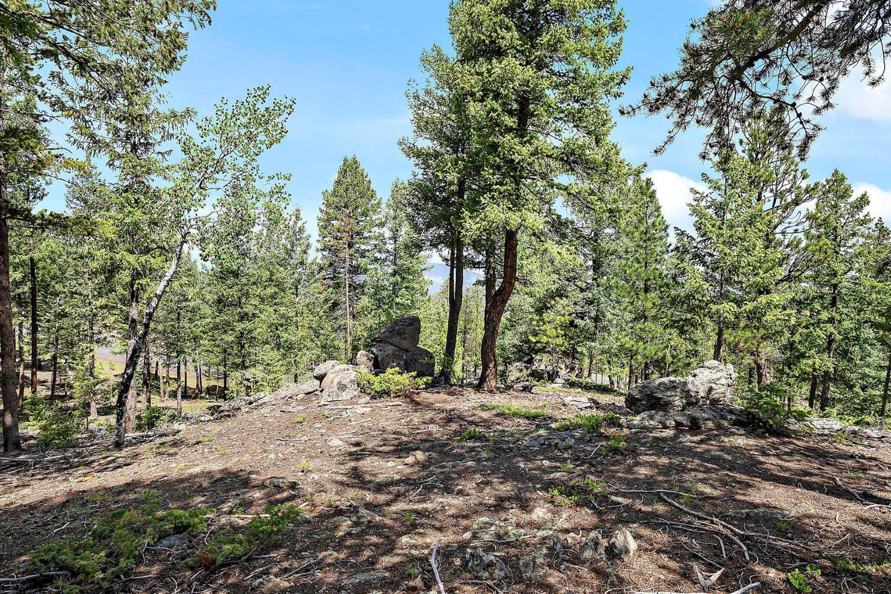 5. Land for Active at Exceptional Land in Evergreen! 6381 Canyon Creek Road, Lot #13 Evergreen, Colorado 80439 United States