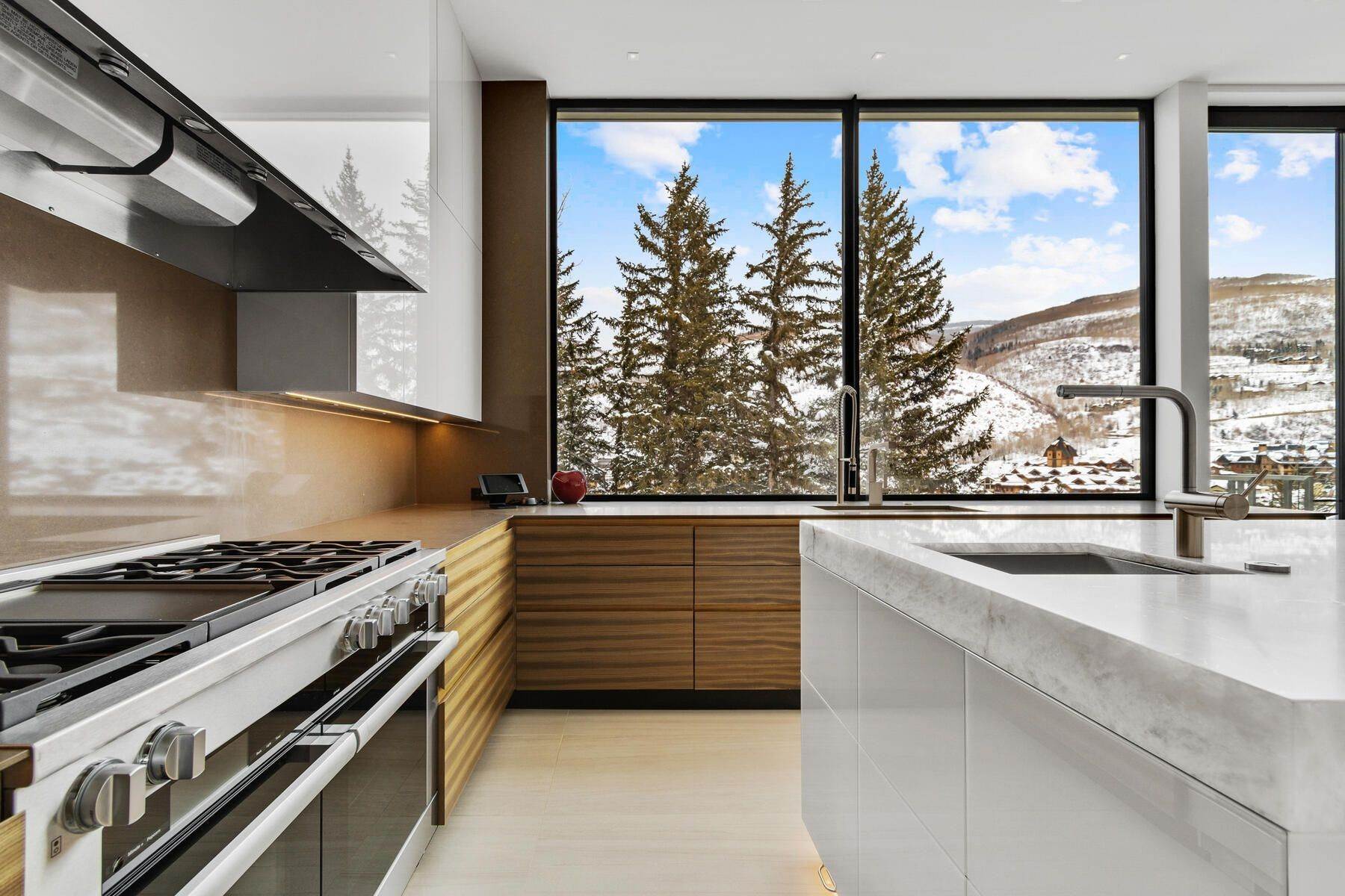 15. Single Family Homes for Active at Apogee House 165 Forest Road Vail, Colorado 81657 United States