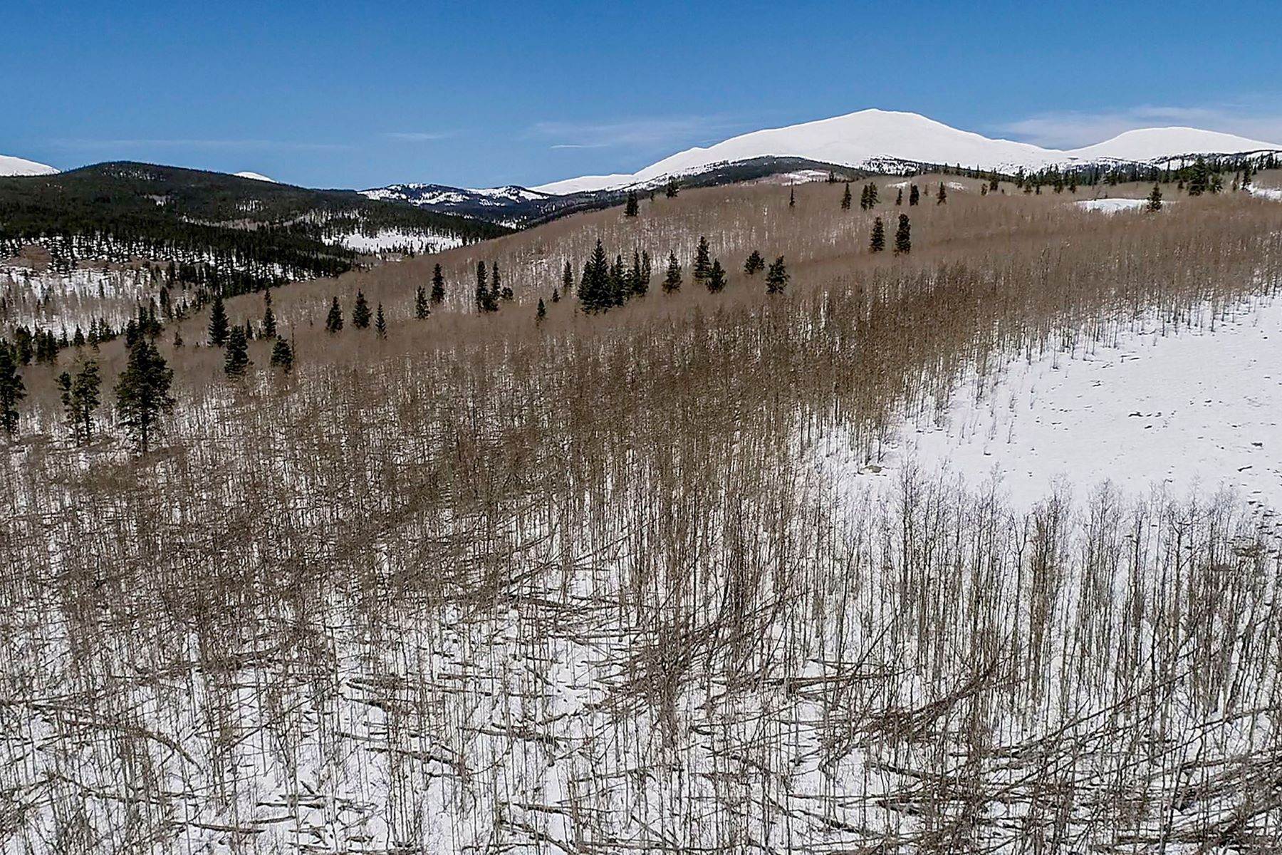 12. Land for Active at Perfect Land for Dream Home TBD Little Baldy Circle Fairplay, Colorado 80440 United States