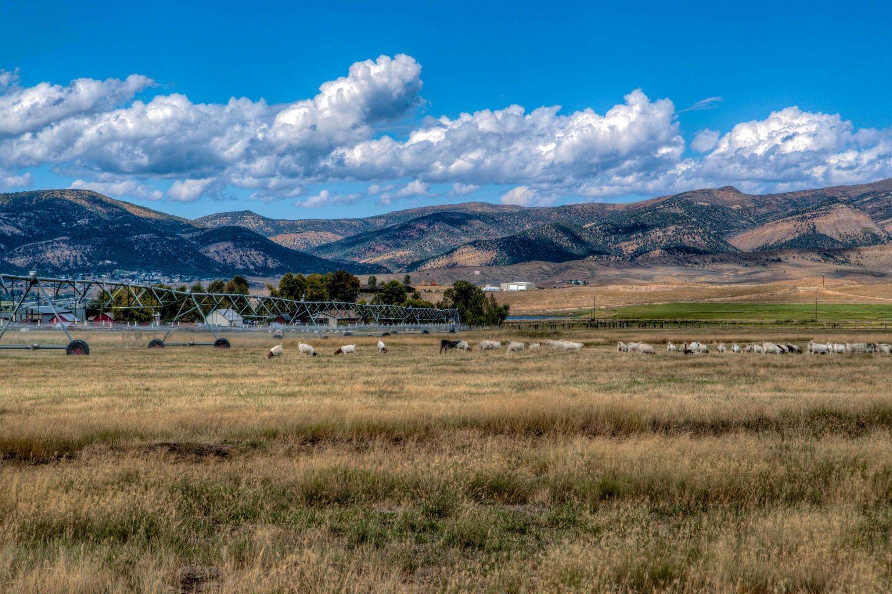 9. Farm and Ranch Properties for Active at 139-acre Working Ranch with Ready Access to the Finest Outdoor Recreation in CO! 3830 County Road 4 Meeker, Colorado 81641 United States