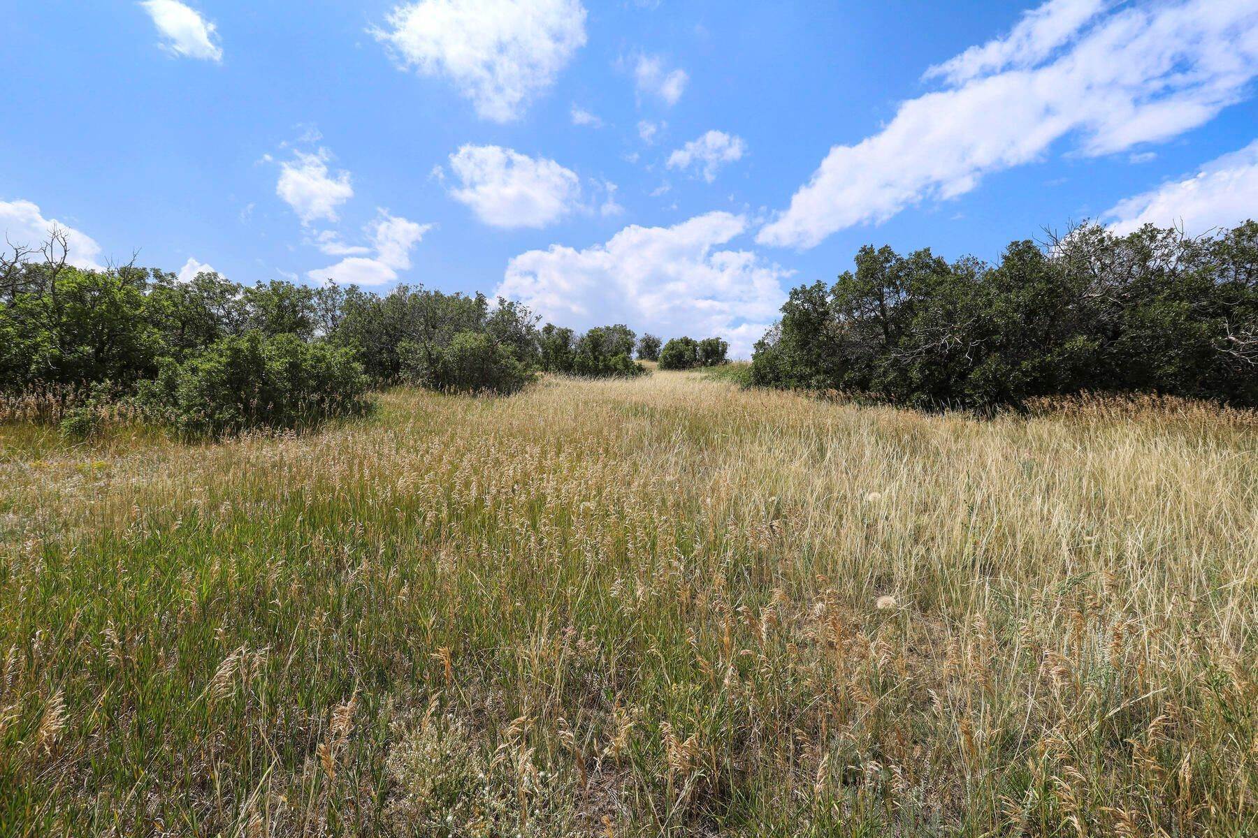 9. Land for Active at Lot 6 Bell Mountain Ranch, Castle Rock, CO, 80104 Lot 6 Bell Mountain Ranch Castle Rock, Colorado 80104 United States