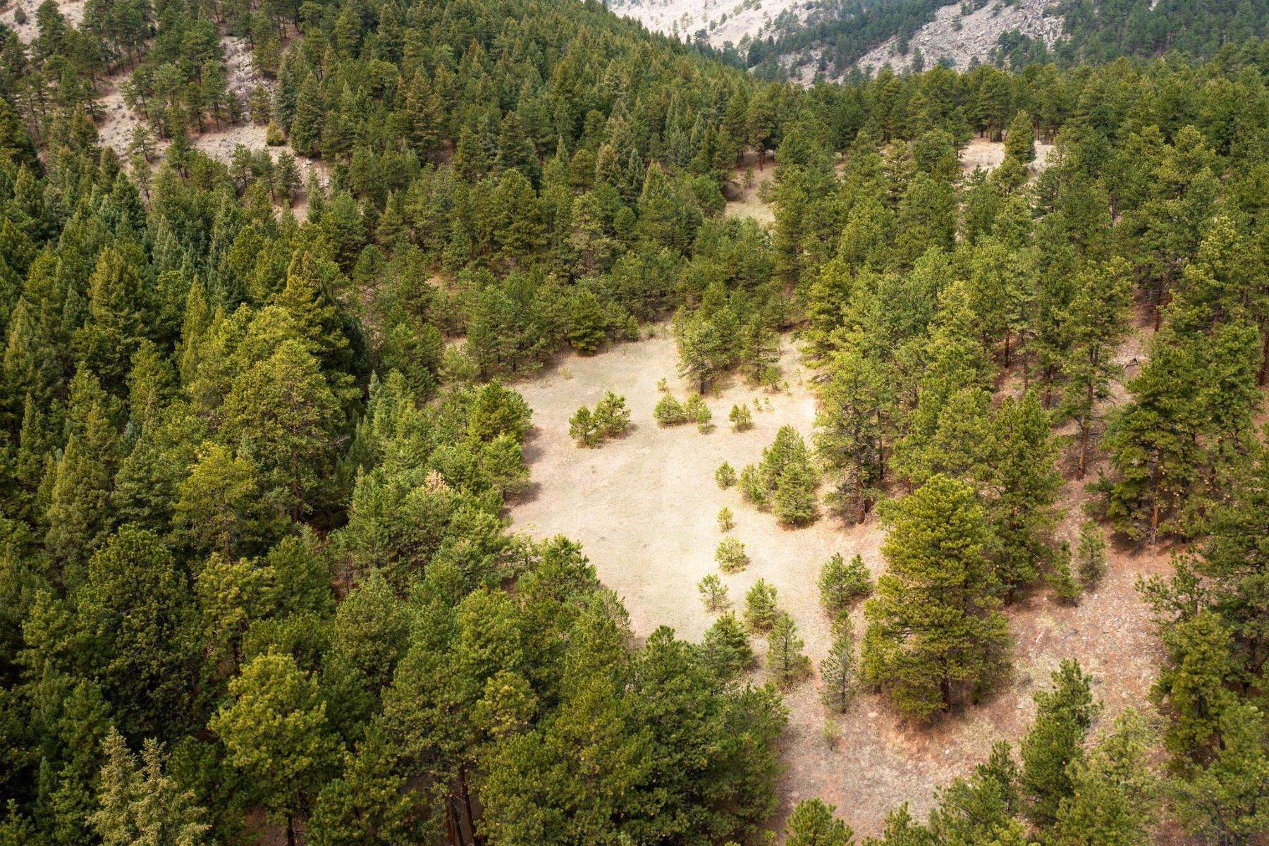 42. Land for Active at 00 Highway 74, Evergreen, CO 80439 00 Highway 74 Evergreen, Colorado 80439 United States