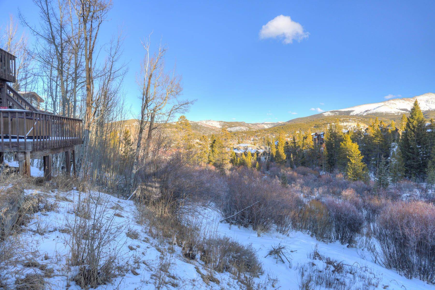10. Fractional Ownership Property for Active at 965 4 O Clock Road, Breckenridge, CO 80424 965 4 O Clock Road Breckenridge, Colorado 80424 United States