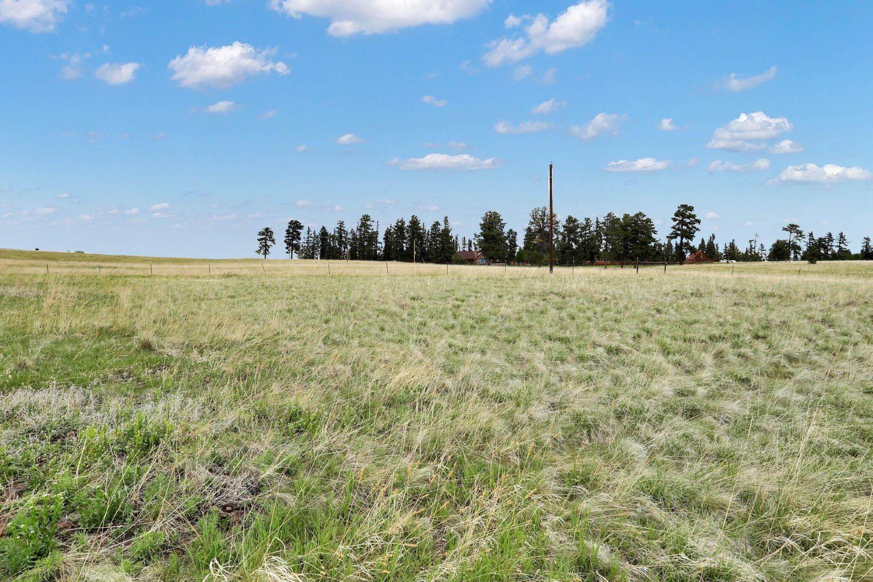 23. Land for Active at Over 3 acres with an incredible view of Pikes Peak! 195 Joshua Road Divide, Colorado 80814 United States