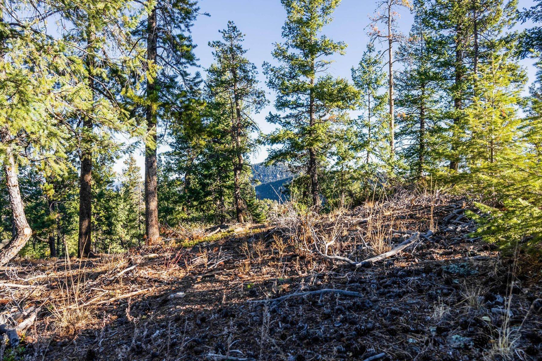 7. Land for Active at Exceptional Land in Evergreen! 6381 Canyon Creek Road, Lot #13 Evergreen, Colorado 80439 United States