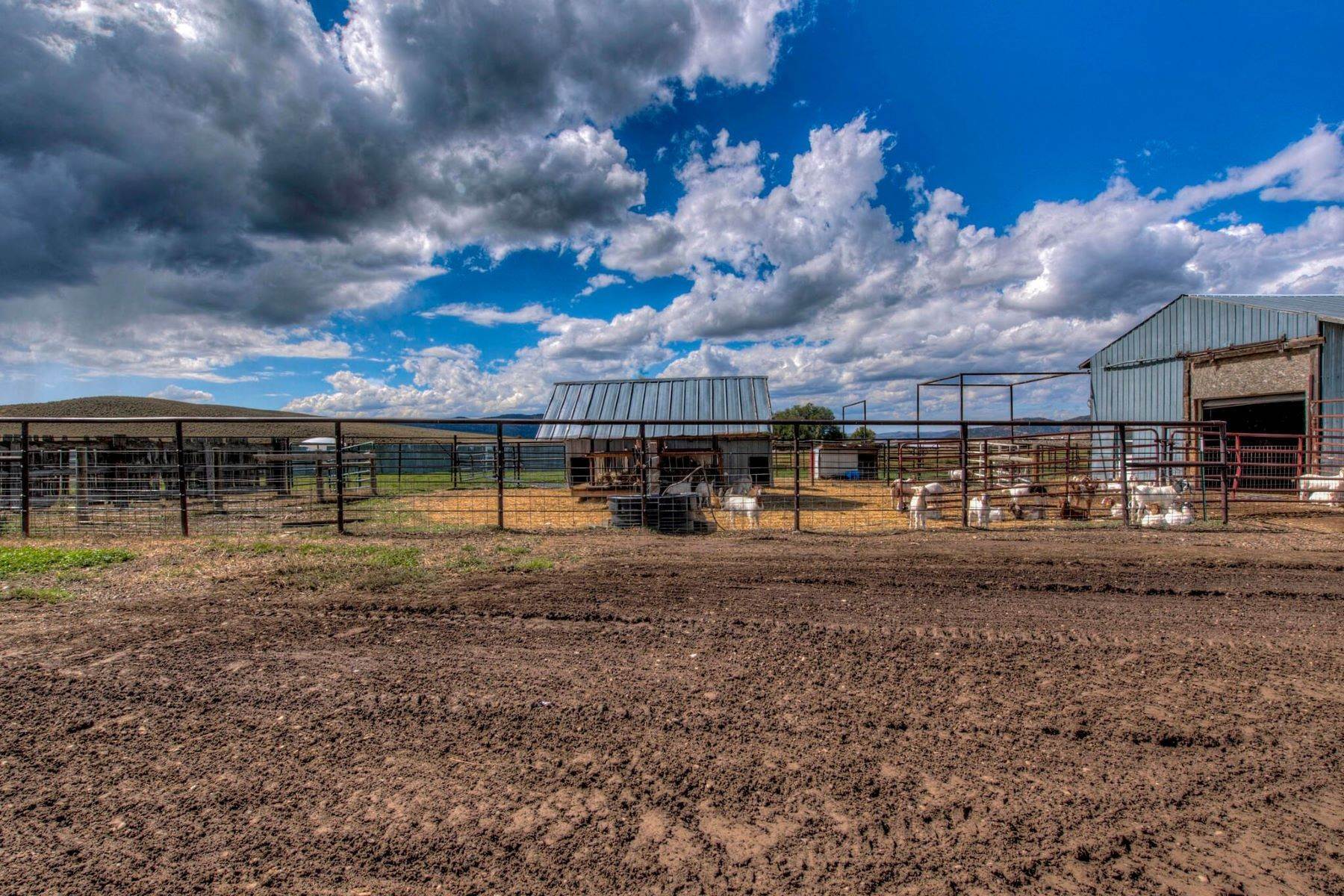 13. Farm and Ranch Properties for Active at 139-acre Working Ranch with Ready Access to the Finest Outdoor Recreation in CO! 3830 County Road 4 Meeker, Colorado 81641 United States